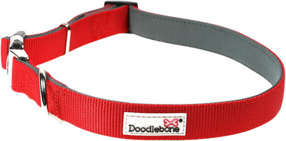 Adjustable Padded Dog Collar
