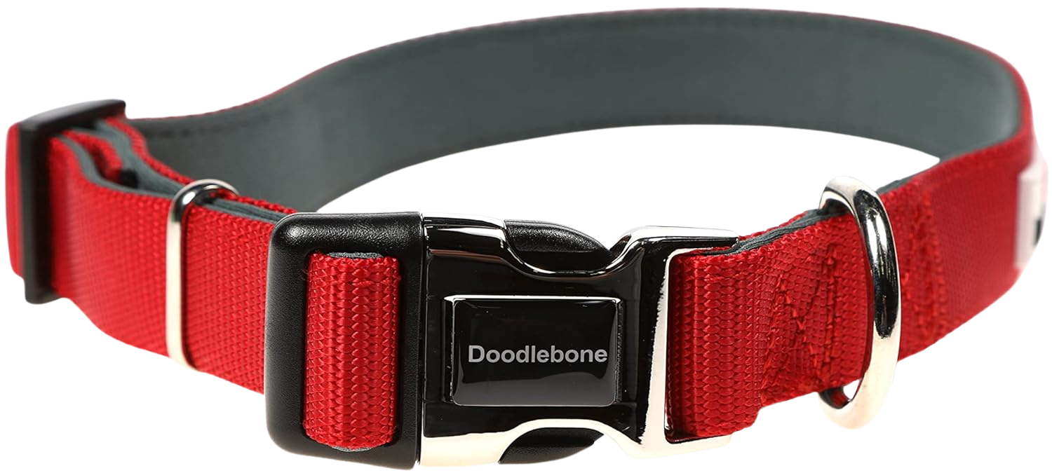 Adjustable Padded Dog Collar