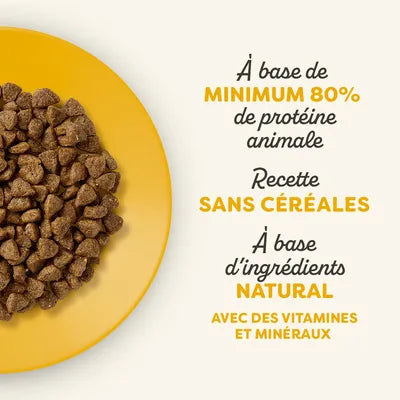 Chicken-flavored cat food for senior cats