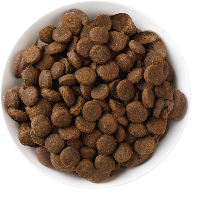 N&amp;D Quinoa Skin &amp; Coat for adult miniature and quail dogs, 800g