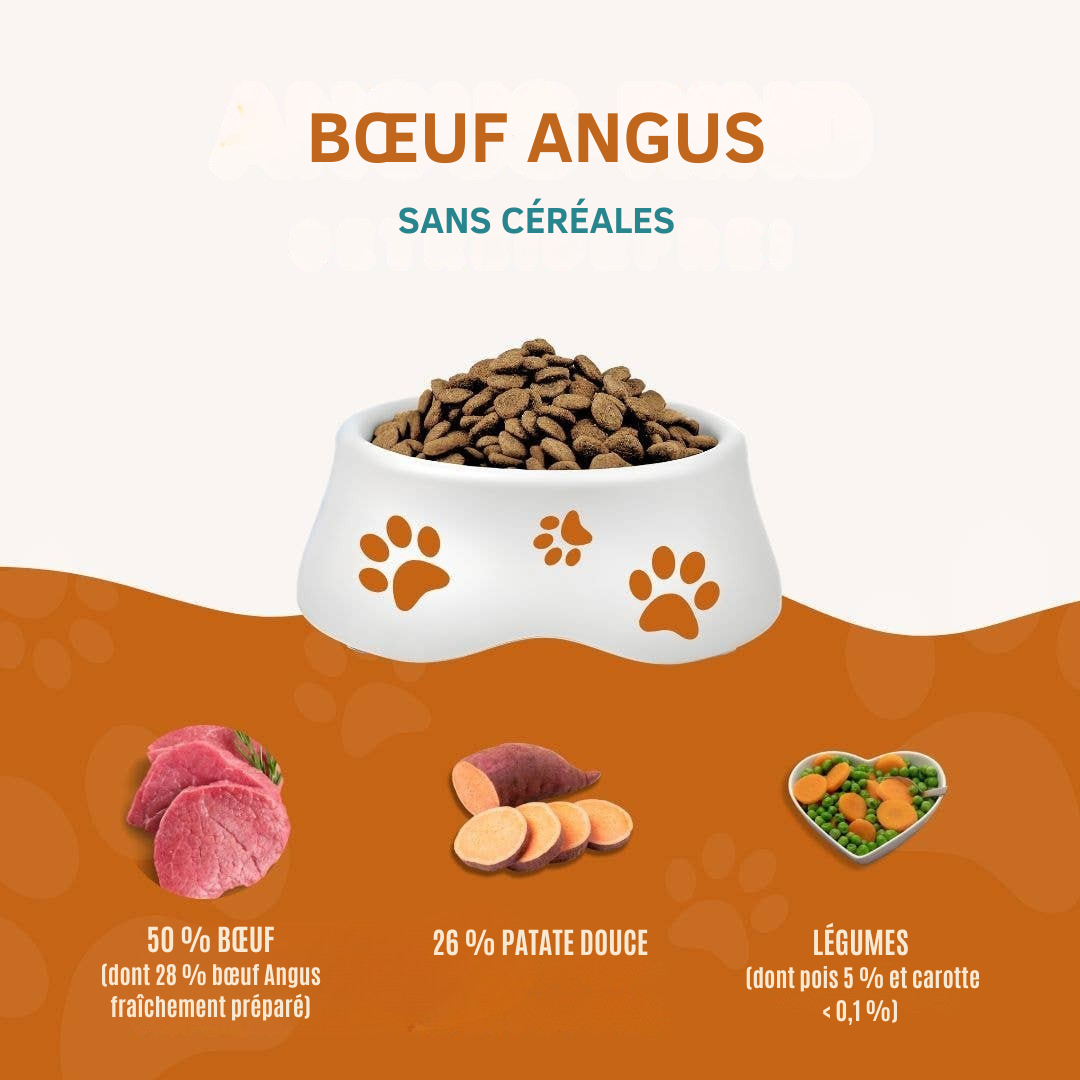 Angus Beef Croquettes for Adult Dogs