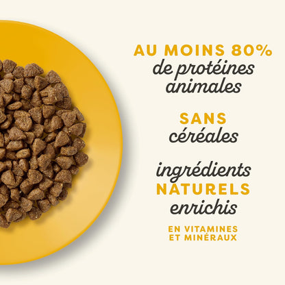 Chicken-flavored cat food