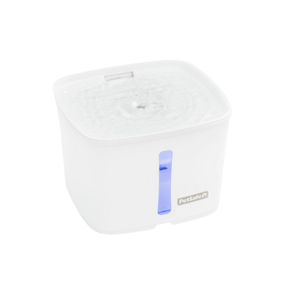 Viva silent water fountain with dual filtration