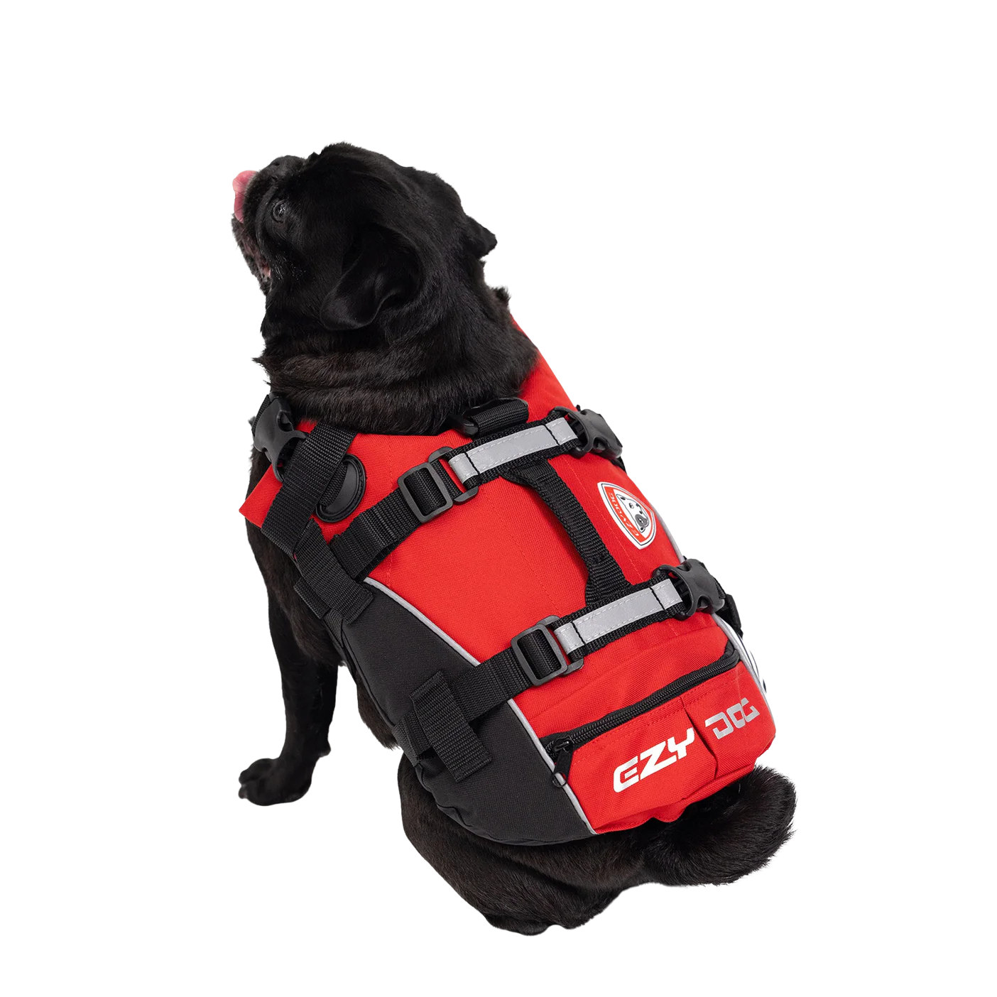 Dog life vest