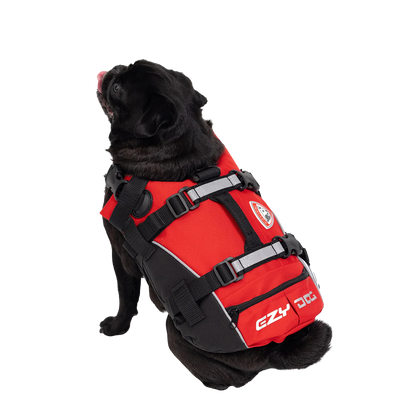 Dog life vest