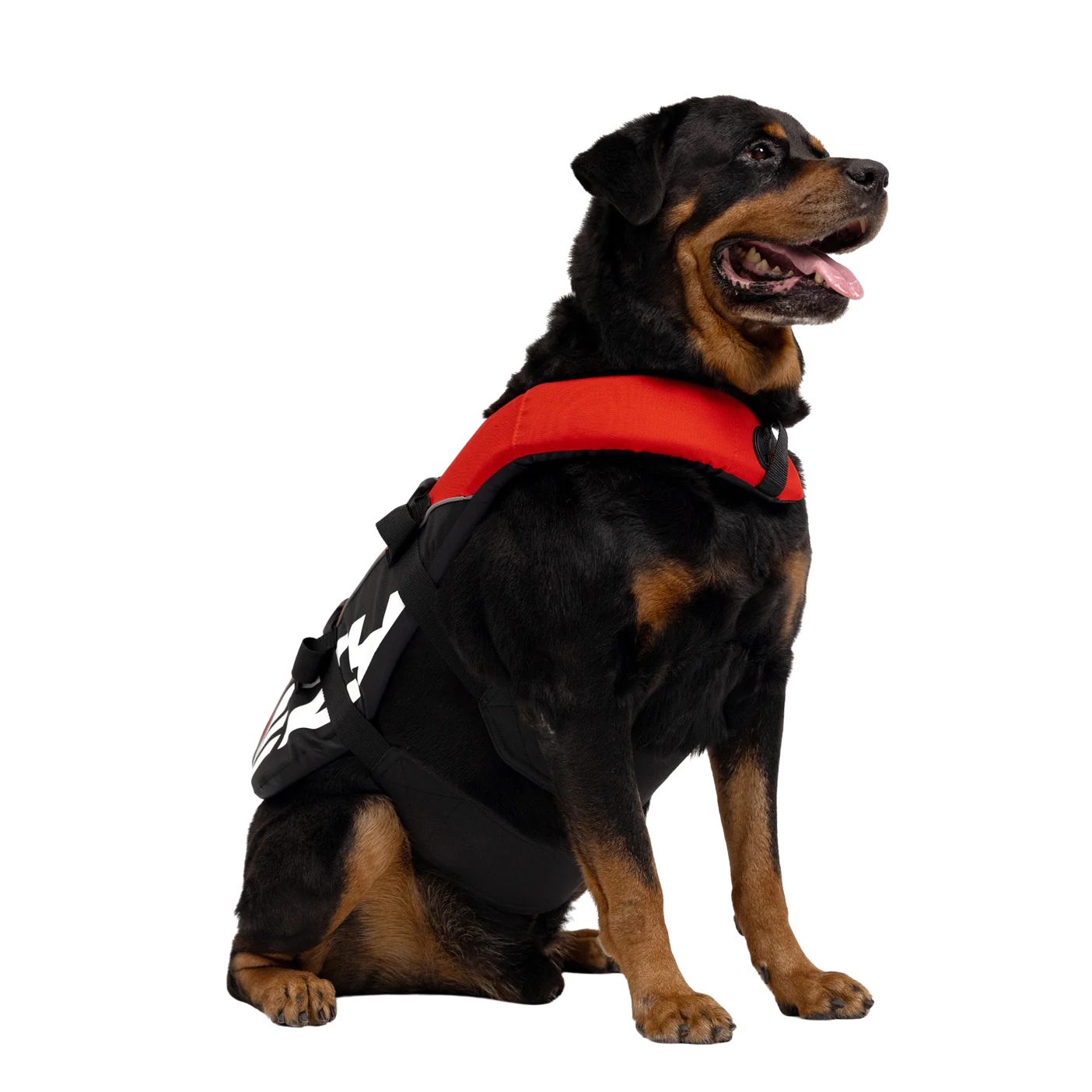 Dog life vest