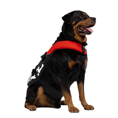 Dog life vest