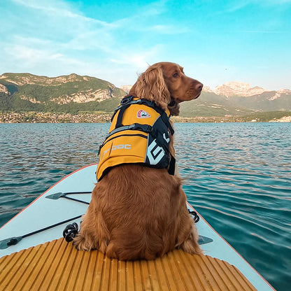 Dog life vest