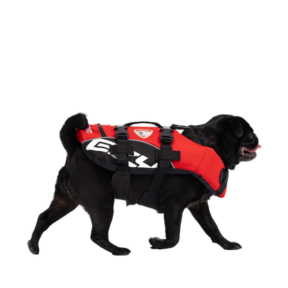 Dog life vest