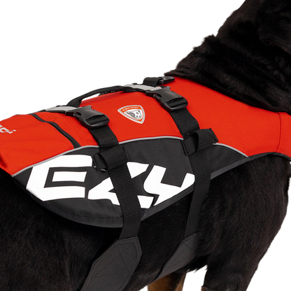 Dog life vest