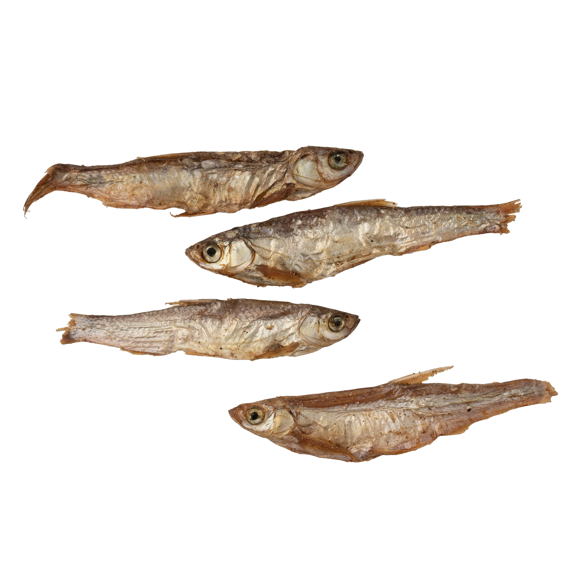 Gone Fishing - Air-dried fish