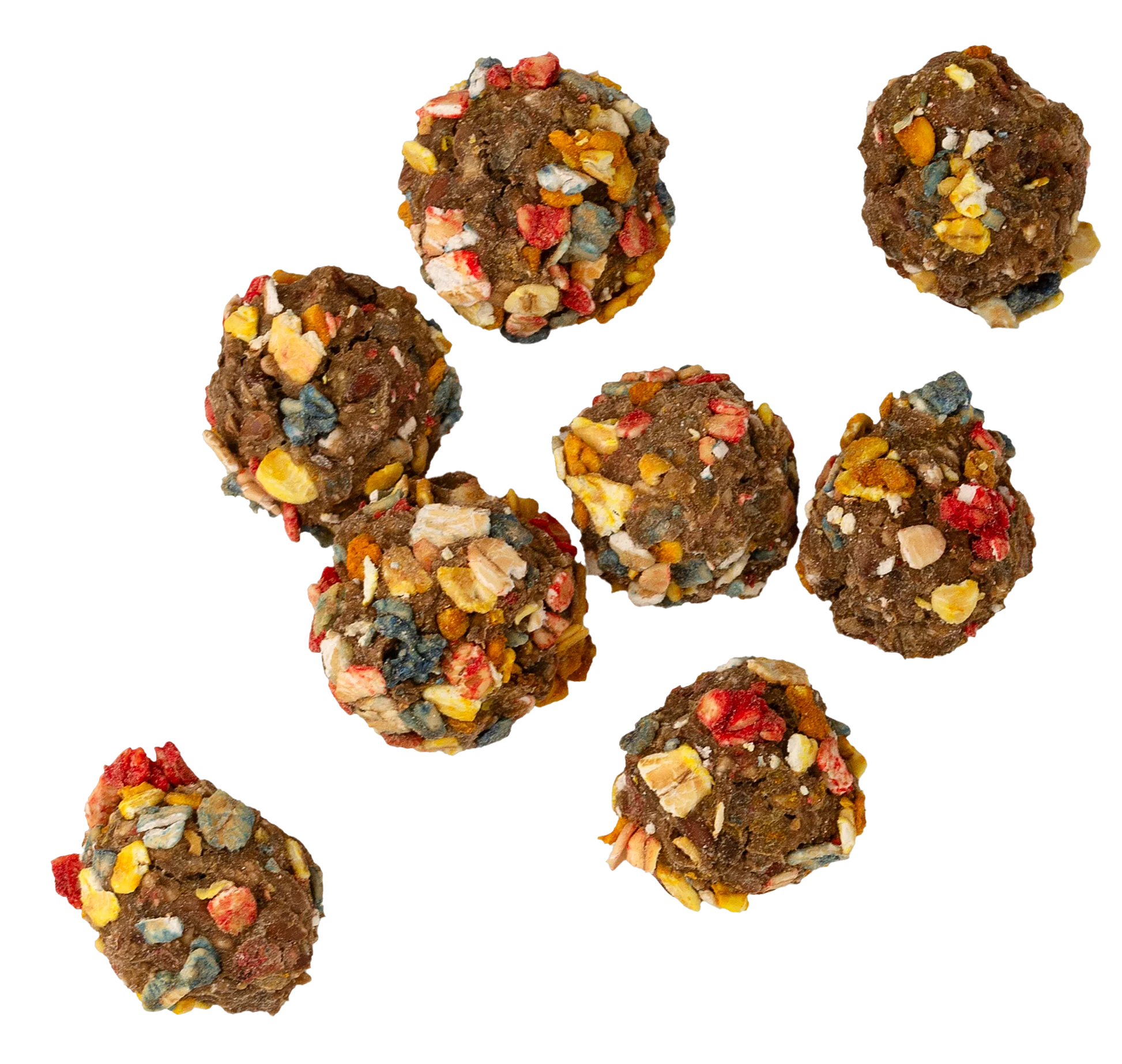 Crunchy Turkey and Sardine Treats for Dogs