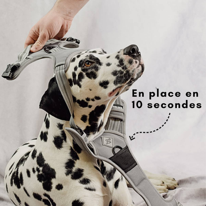 Reflective anti-pull harness