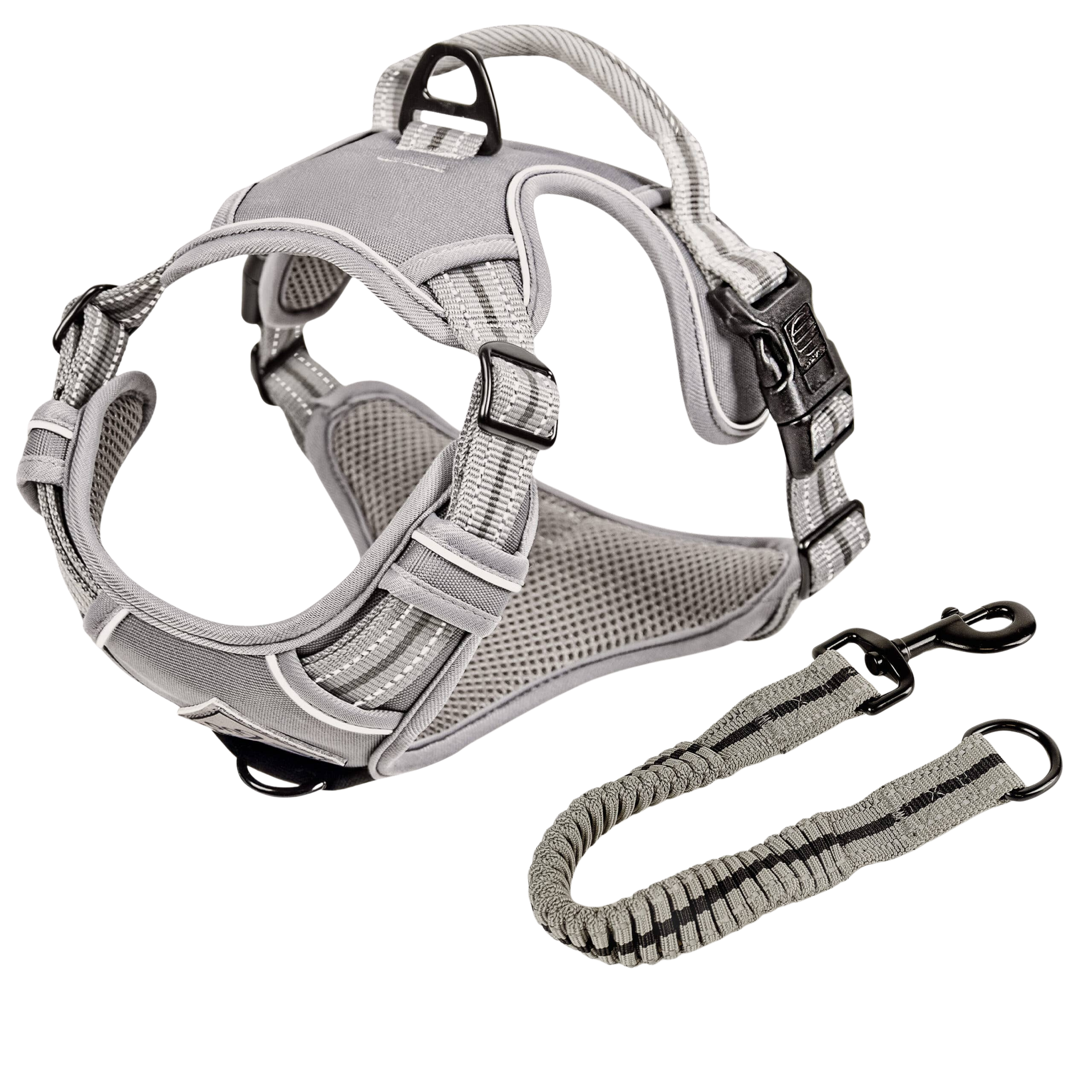 Reflective anti-pull harness