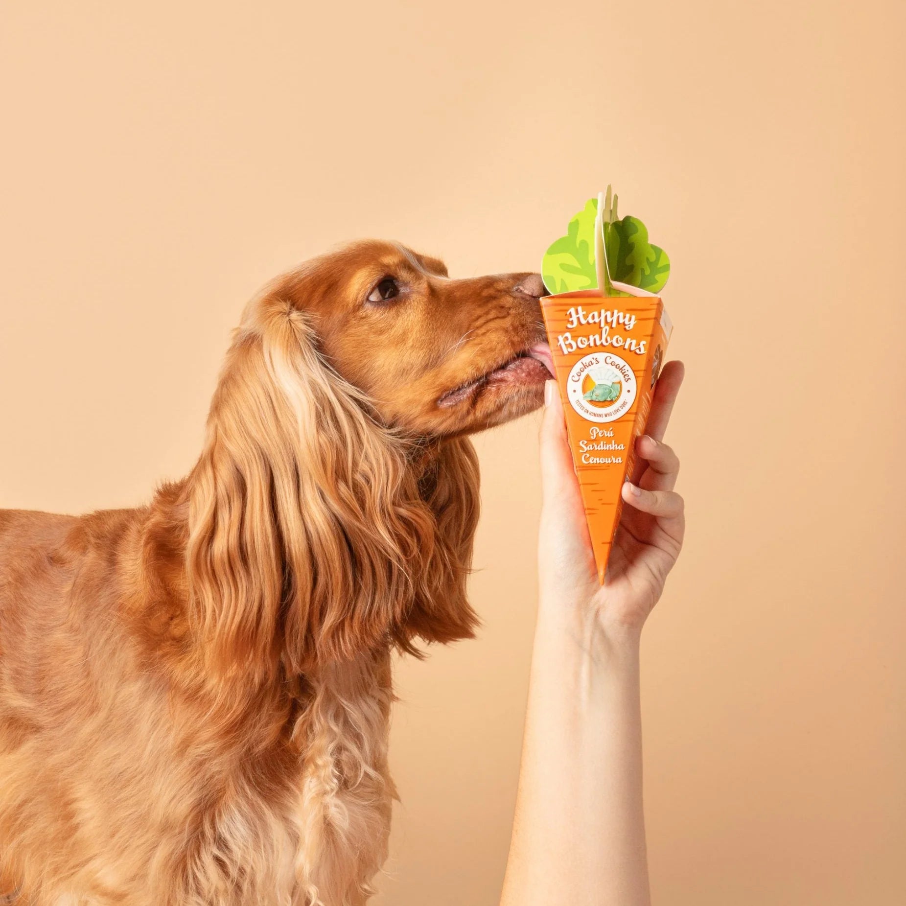 Crunchy Turkey and Sardine Treats for Dogs