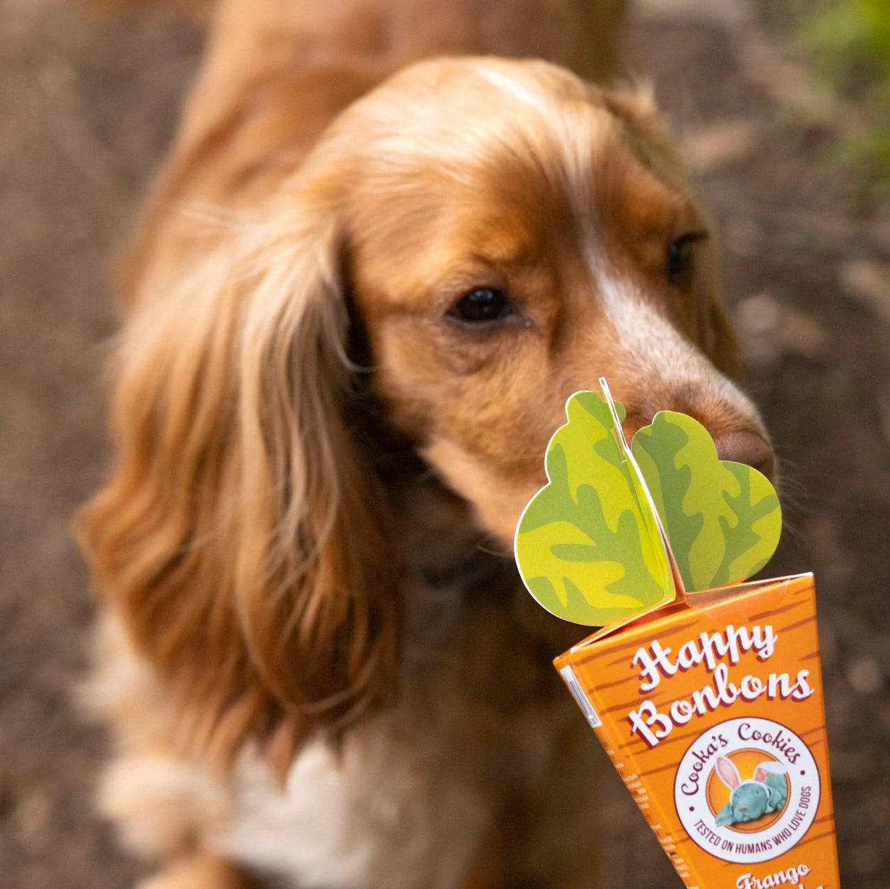 Crunchy Turkey and Sardine Treats for Dogs