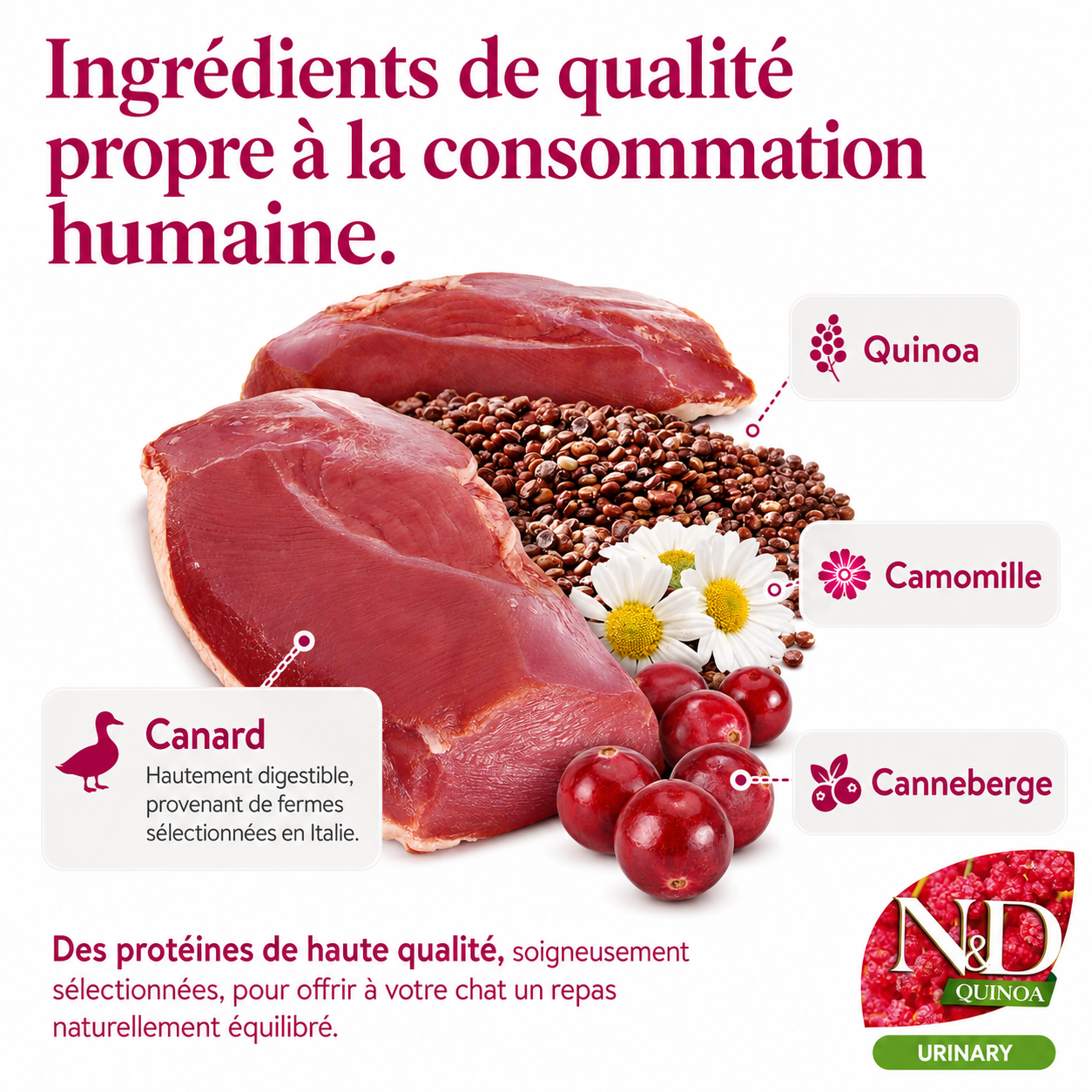 Adult Cat Urinary Health Duck and Quinoa Kibble