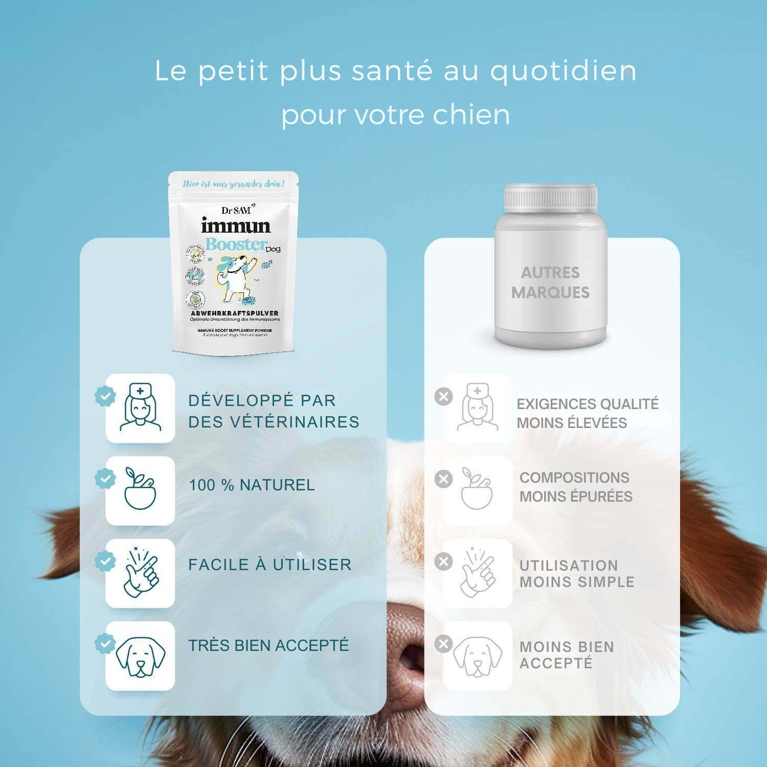 Herbal immune support powder