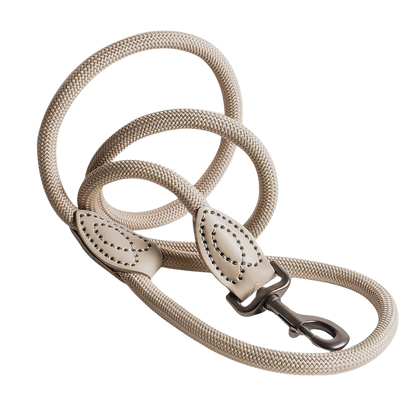 Leash made of polyamide and leather