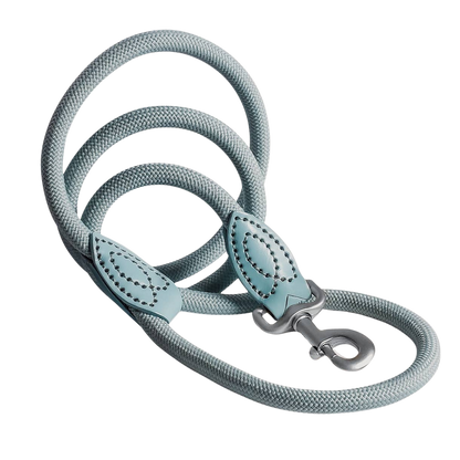 Leash made of polyamide and leather