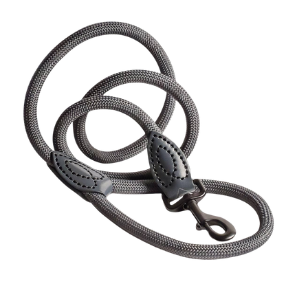 Leash made of polyamide and leather