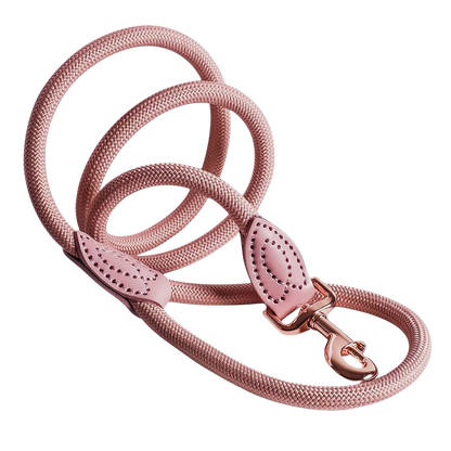 Leash made of polyamide and leather