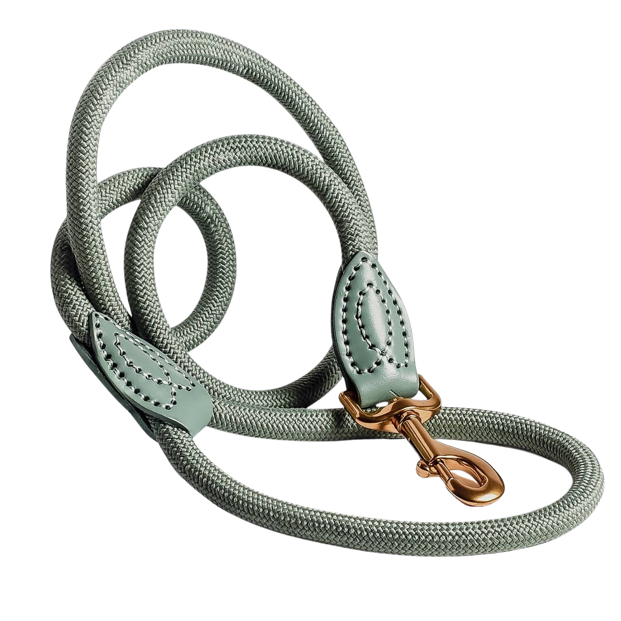 Leash made of polyamide and leather