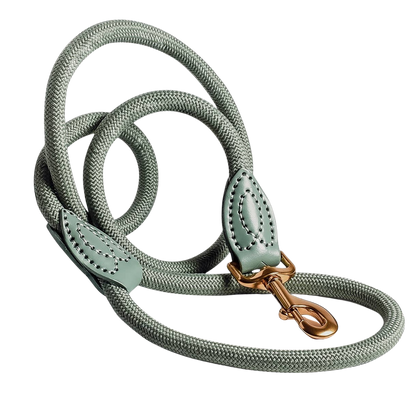 Leash made of polyamide and leather
