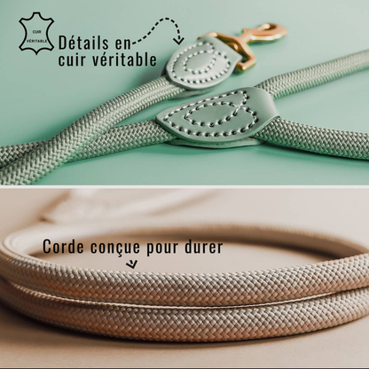 Leash made of polyamide and leather