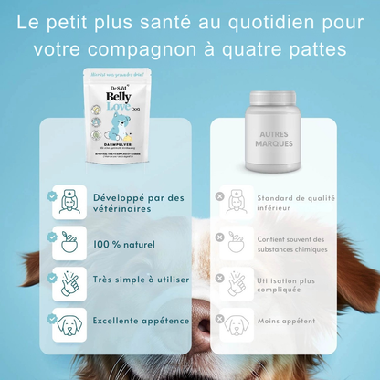 Herbal intestinal powder