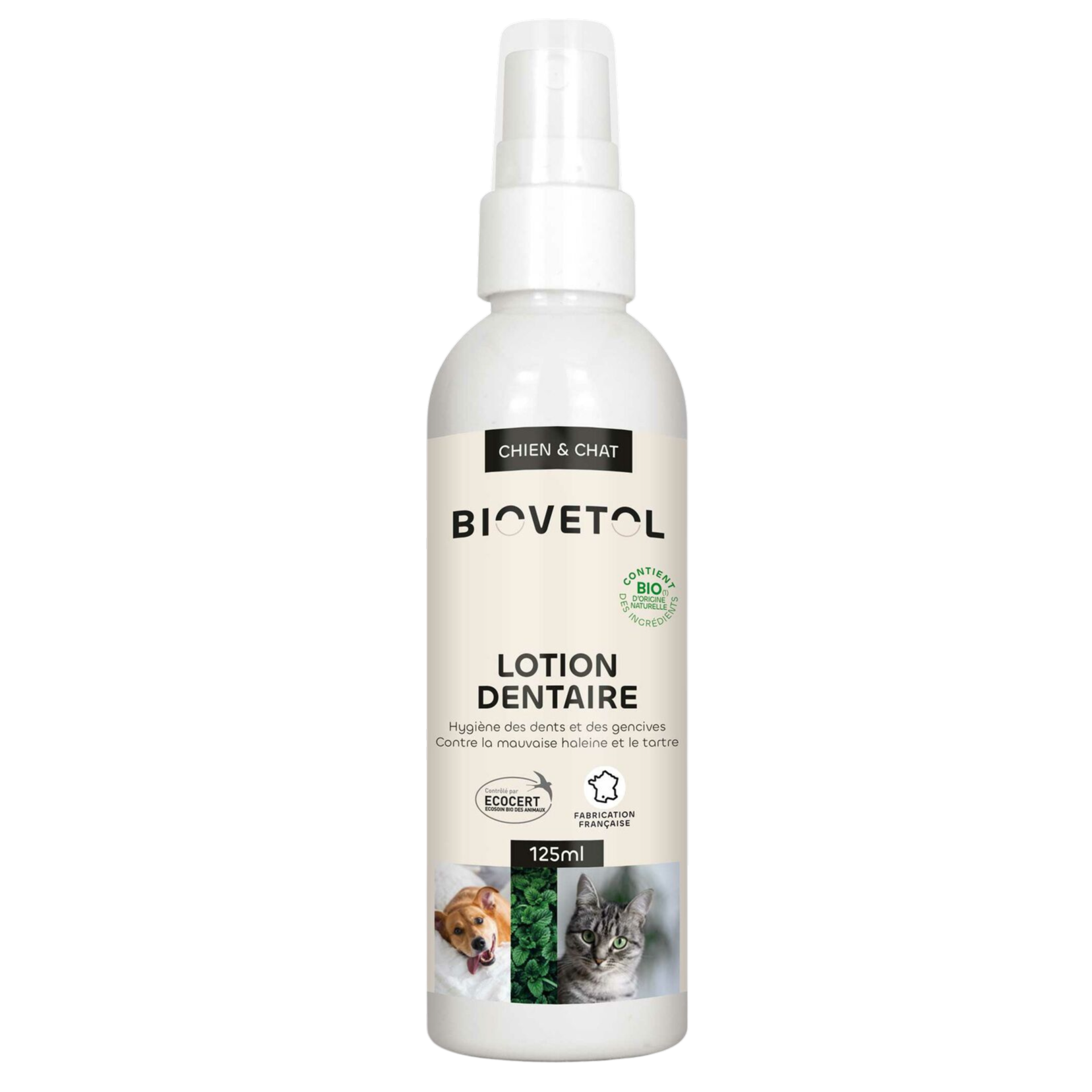 Organic dental lotion for dogs and cats