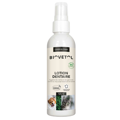 Organic dental lotion for dogs and cats