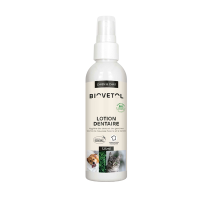 Dental lotion with organic plant-based active ingredients
