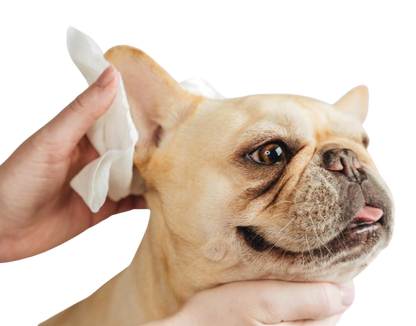 Natural bamboo grooming wipes