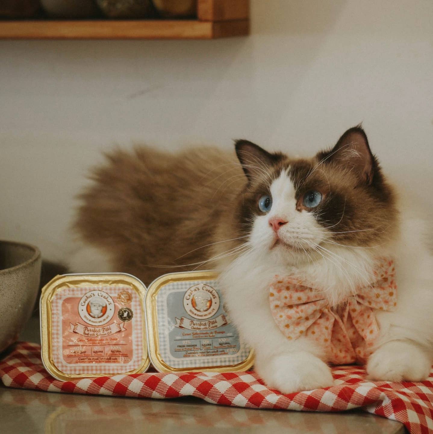 Beef pâté and salmon oil