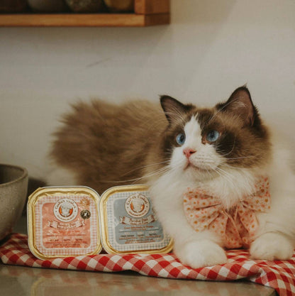 Beef pâté and salmon oil