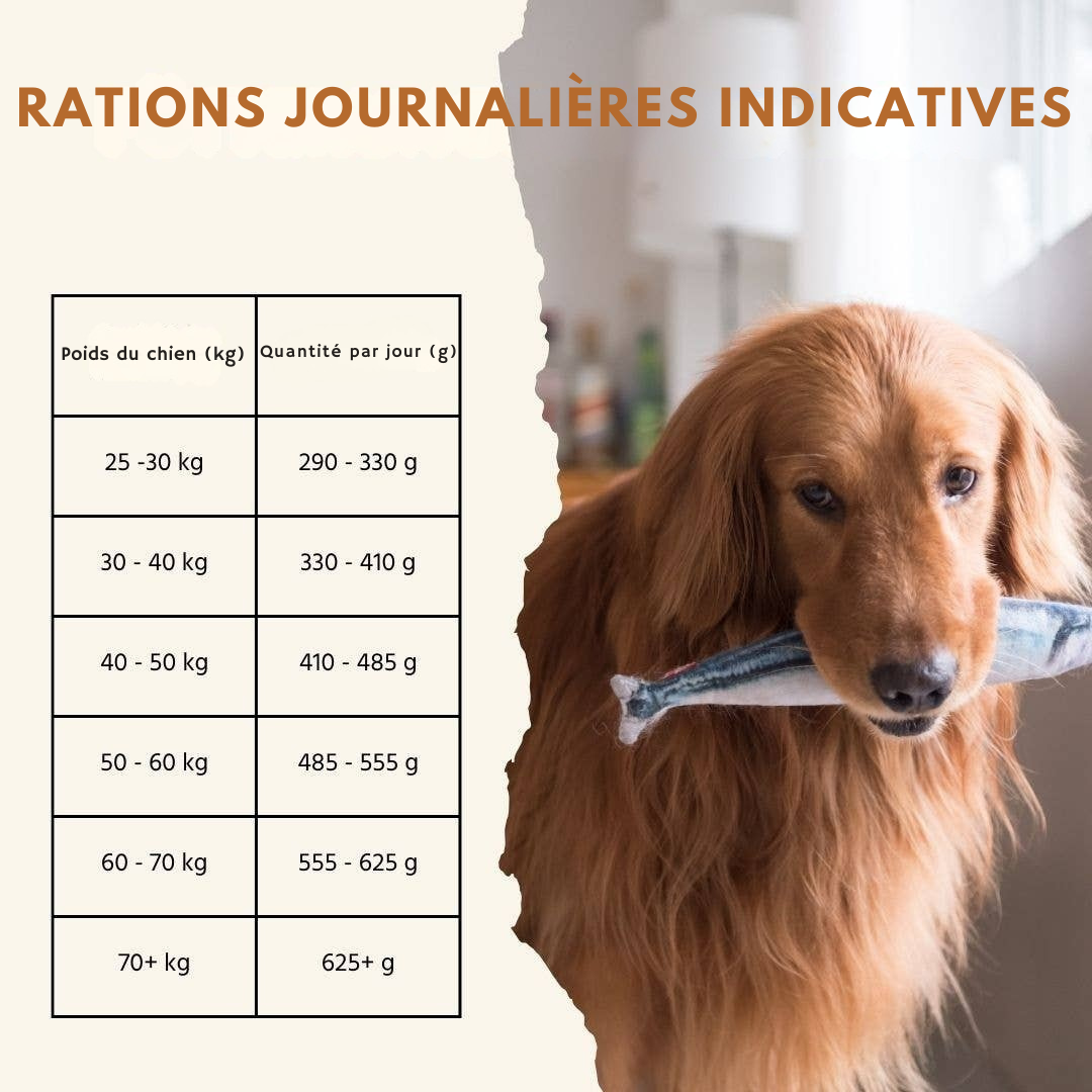 Salmon and Trout Croquettes for Adult Dogs
