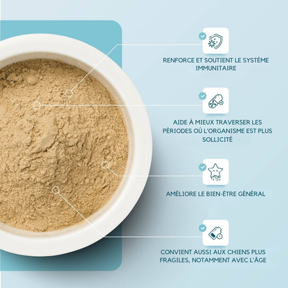 Herbal immune support powder
