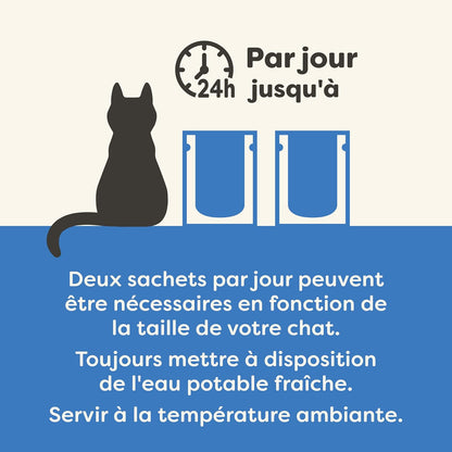 Tuna and shrimp fillet in broth for adult cats