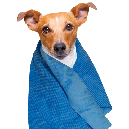 Cooling Towel for Dogs and Cats