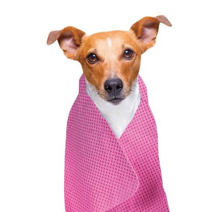 Cooling Towel for Dogs and Cats
