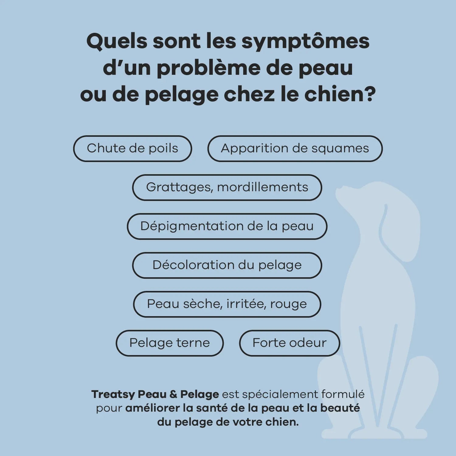 Chicken-based skin and coat supplement for dogs