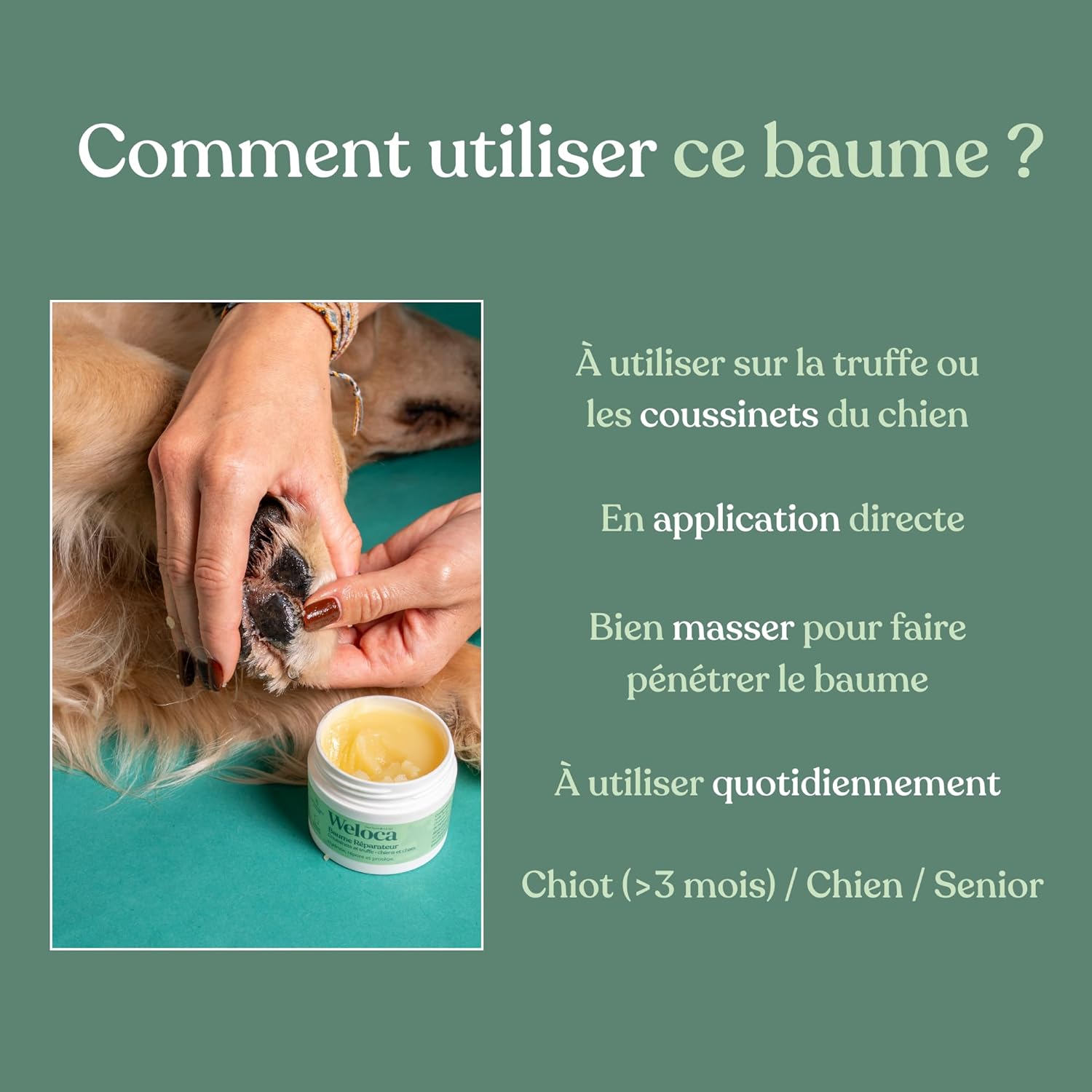 Natural repair balm for paw pads and nose