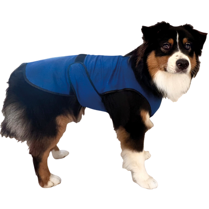 Cooling vest for dogs