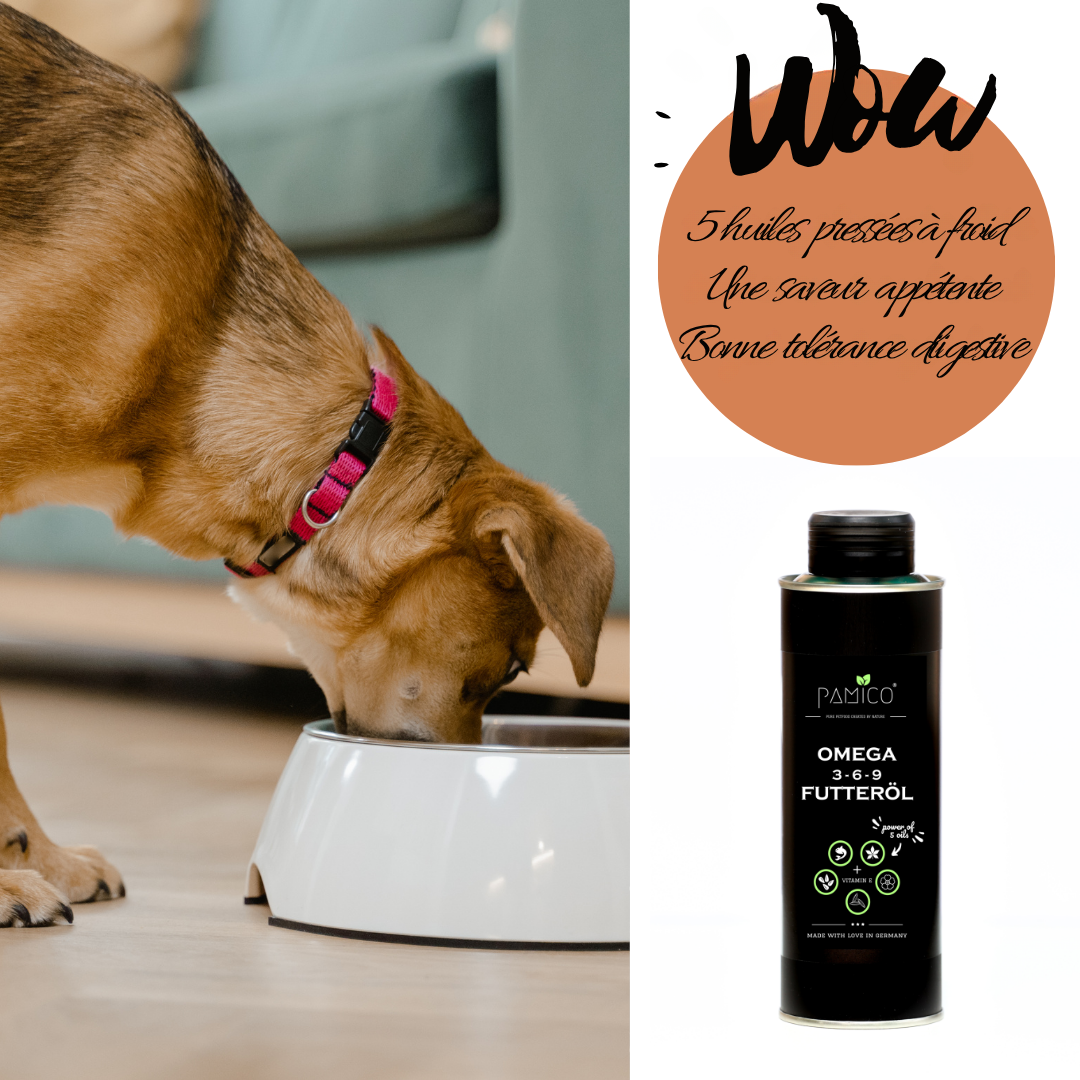 Omega 3-6-9 and Vitamin E Food Oil for Dogs