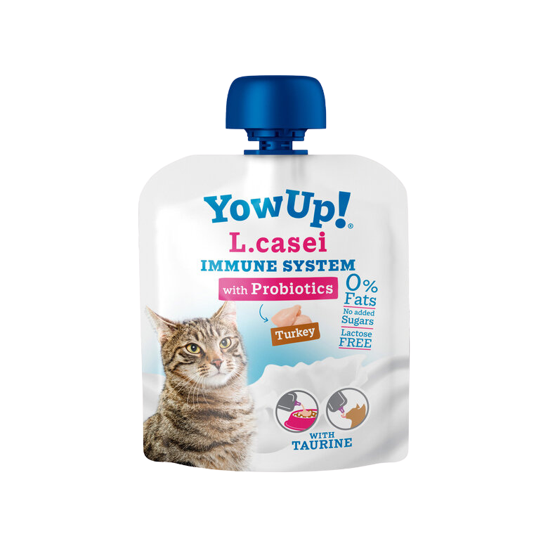 Lactose-free turkey yogurt with L. casei for cats