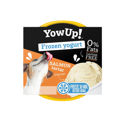 Lactose-free yogurt for freezing, salmon tartare flavor for dogs and cats