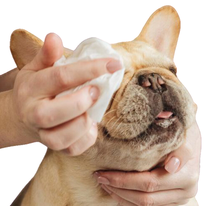 Natural bamboo grooming wipes