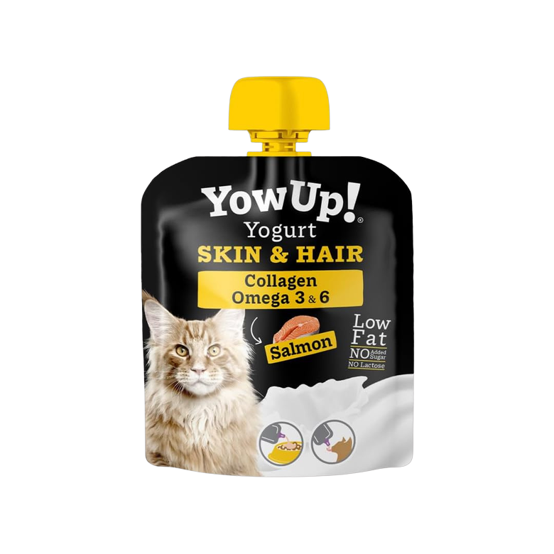 Lactose-free yogurt with salmon - Cat skin and coat