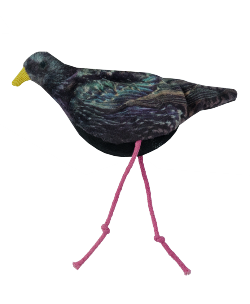Catnip starling toy 
